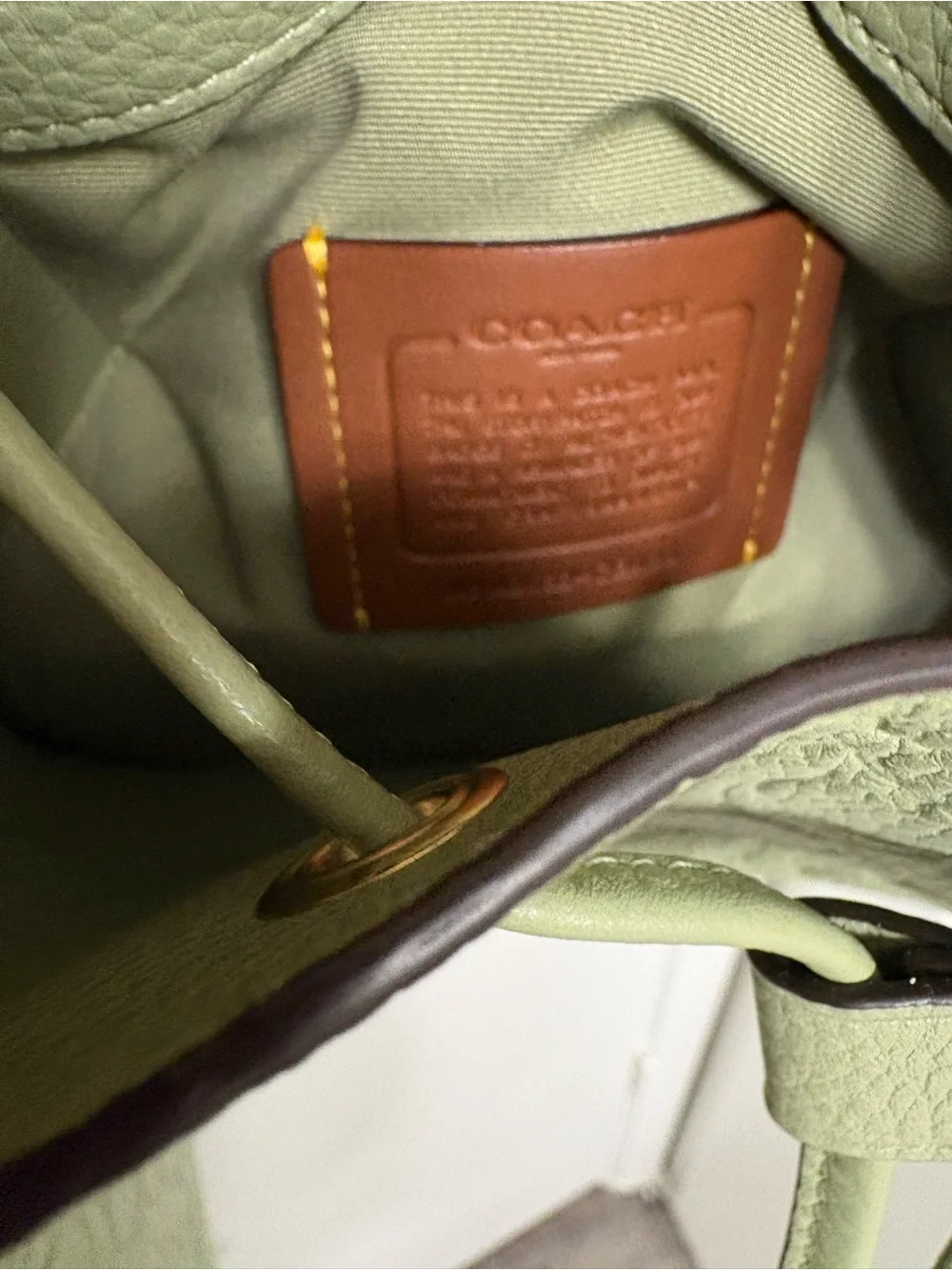 Coach  pistachio Sage Green Pebbled Leather Drawstring Bucket Bag